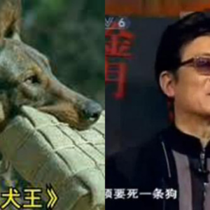 Phẫn nộ khi đạo diễn “Khuyển Vương” đã cho nổ chết chú chó thật để có cảnh quay đẹp