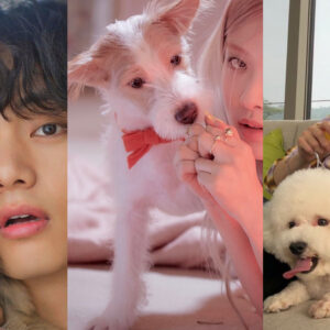 Nhân ngày ‘Quốc tế của chó’, điểm danh những idols sở hữu pet cưng đáng yêu nhất Kpop