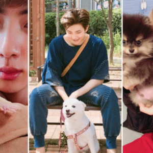 Tất tần tật thông tin về thú cưng của BTS – Tên kèm hình ảnh
