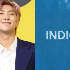 Ý nghĩa đằng sau tiêu đề album ‘Indigo’ thể hiện tính cách thực sự của RM (BTS)