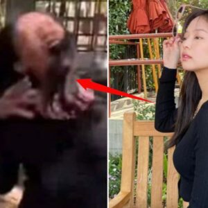 “BLACKPINK Jennie” gây sốt vì bị khỉ giật tóc ở sở thú, nhưng có gì đó hơi…sai sai?