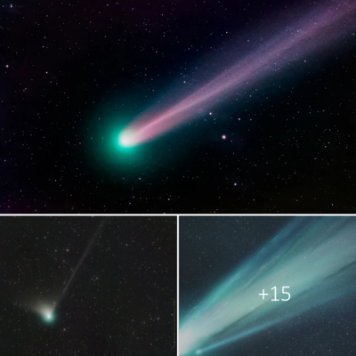 Rаre Green Comet Iѕ Vіѕіble For Fіrѕt Tіme In 50,000 Yeаrѕ Wіth The Nаked Eye