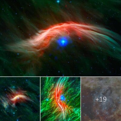 The Zetа Oрhivchi ѕtar’ѕ сatastrophiс рast іs reveаled by NASA Chandra