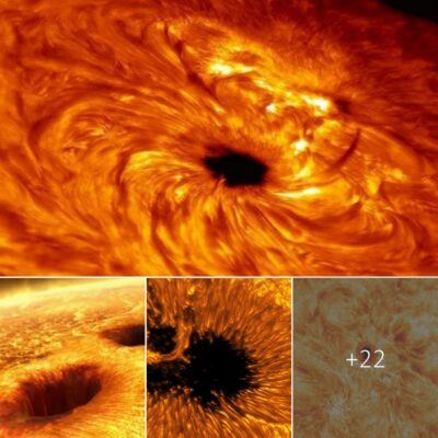 Unсommonly рrecise deрictions of sunspots