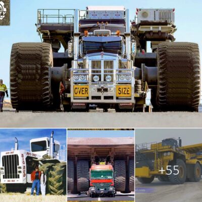 Unveiling the secrets behind the transportation of MEGA machines and oversized loads