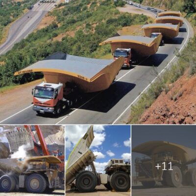 Presenting the DT Hi-Load – The Dump Truck with Unmatched Performance, Impossible to Ignor