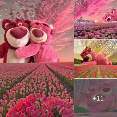 Behold the captivating sight of a giant teddy bear peacefully resting amidst a radiant tulip garden and a dazzling sunset sky