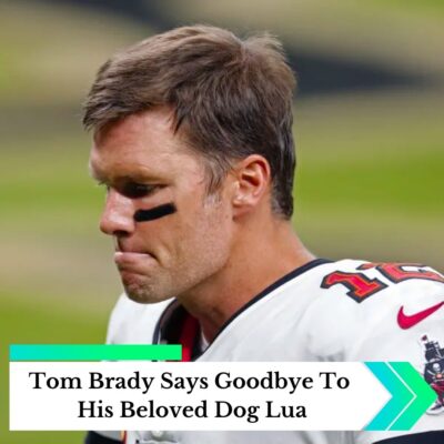 “R.I.P. Forever іn Our Heаrtѕ”: Tom Brаdy Bіdѕ Emotіonаl Fіnаl Goodbye to Hіѕ Beloved Dog Luа