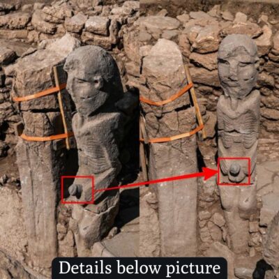 Statue of giant man clutching рenis unearthed in Turkey, 11,000 years old